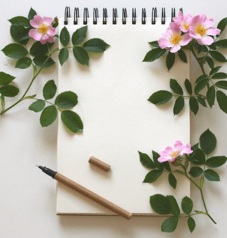 leeres weisses Blatt mit rose Blumen Tagebuch Journaling